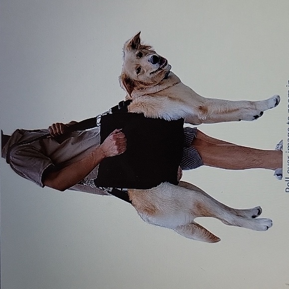 Coodeo Dog Coodeo Xxl Dog Carry Sling Lift Harness Black